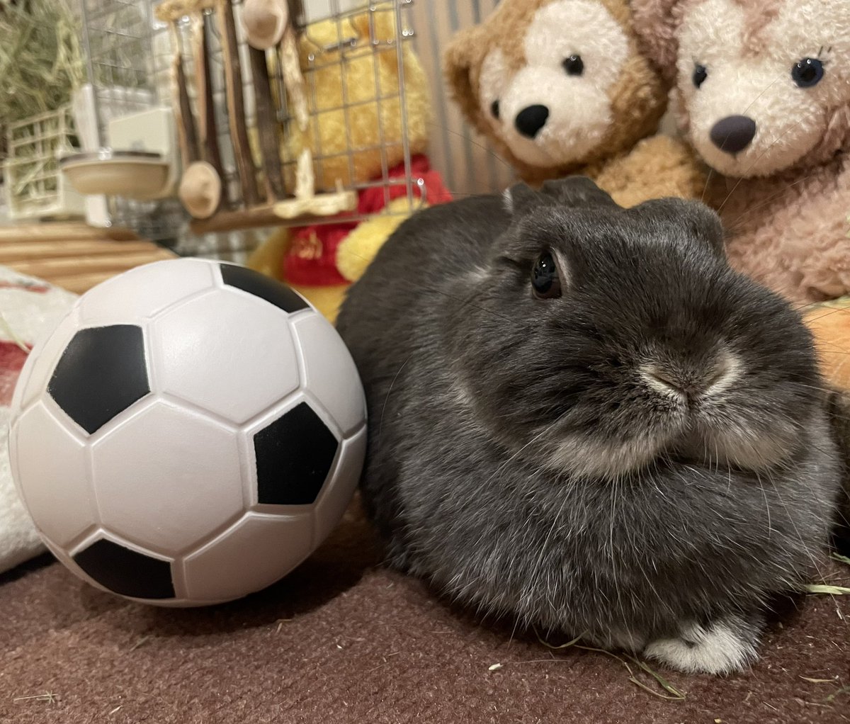 おつかれさま〜🇯🇵✨