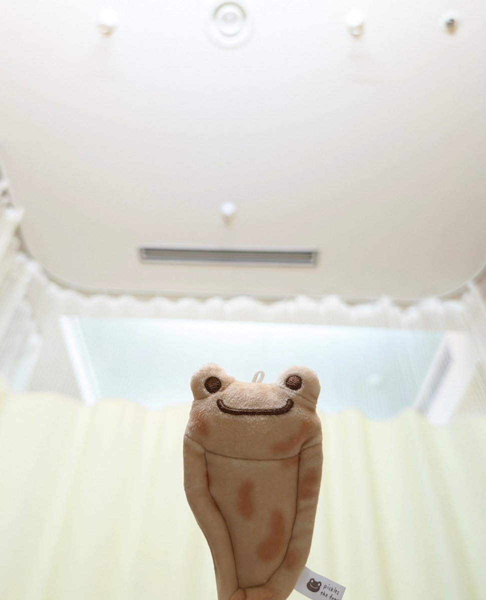 みったん2号 (@g6llwPtbt733729) / Posts and Replies / X