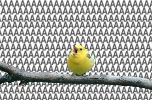 nellbulaa's tweet image. 