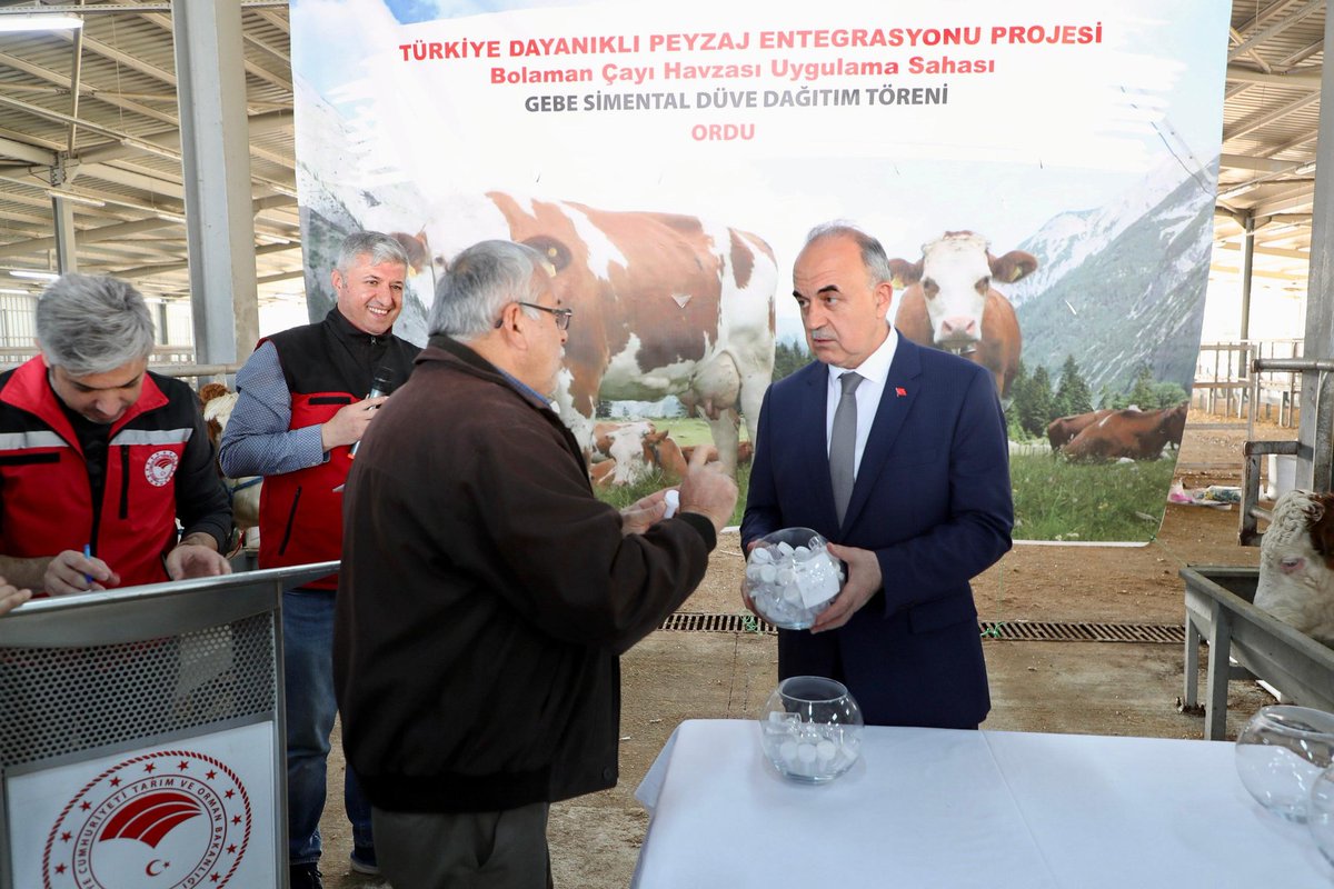 TULIP Projesi Kapsamında Gebe Simental Düve Dağıtım Yapıldı
ordu.gov.tr/tulip-projesi-…