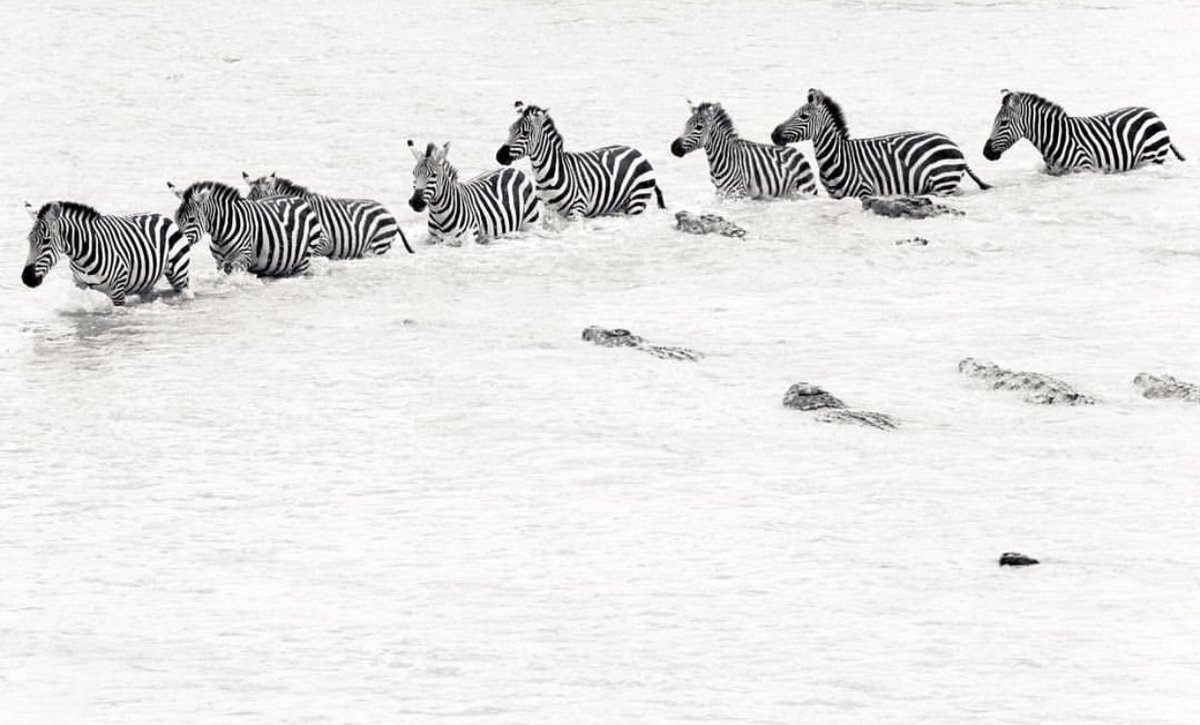 Mwangi Kirubi tweet media