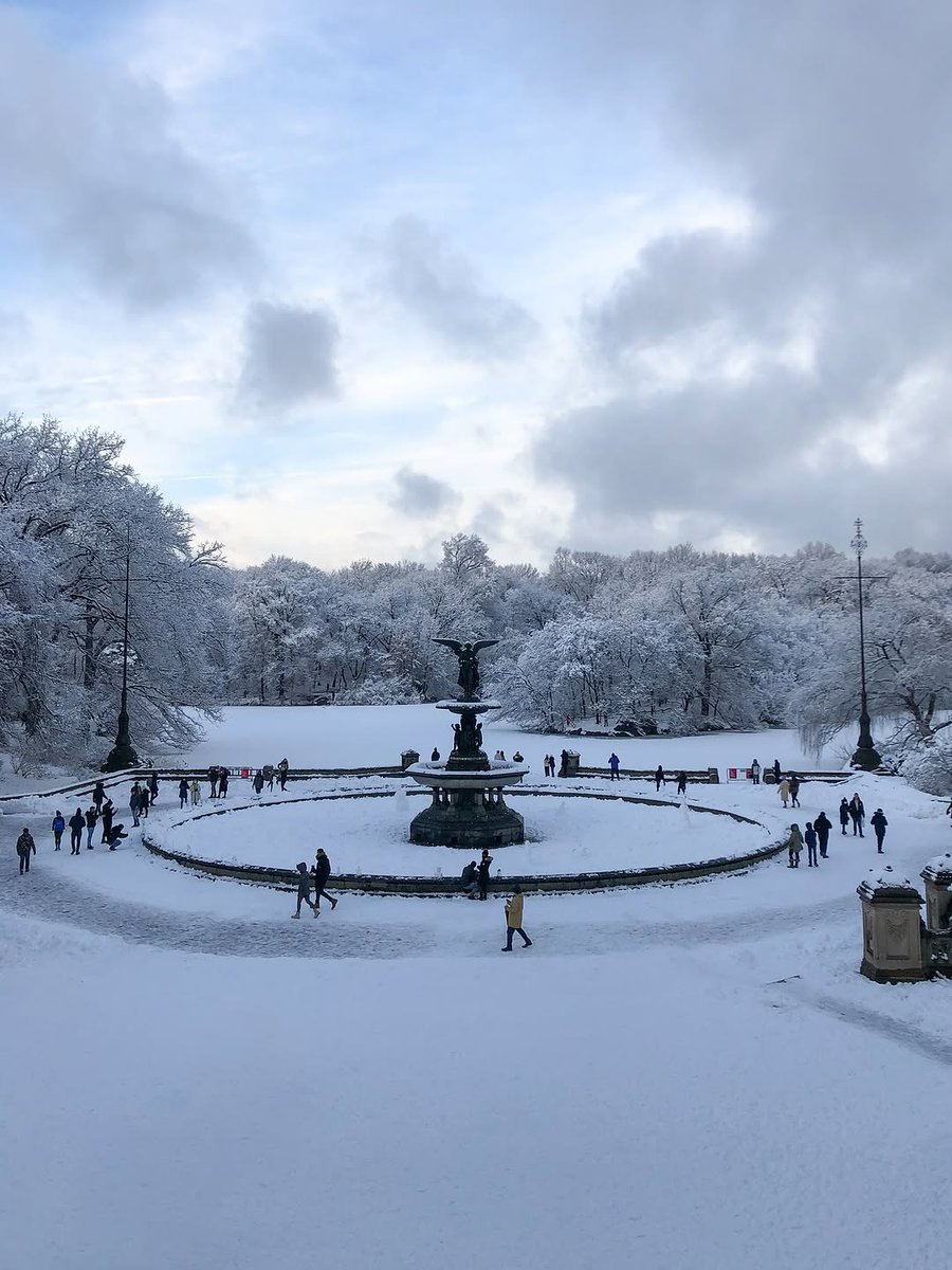 𝘄𝗮𝗻𝗱𝗲𝗿𝘁𝗿𝗮𝘃𝗲𝗹𝘀 tweet media