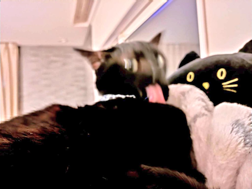 THE きらら氏 (@kirarakoubou397) / Posts / X