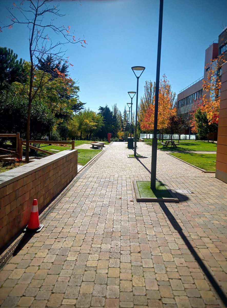 Taking a short break to think what to write next. Autumn in Madrid is so much more better looking then in Krakow huge thanks to <a href="/ChasCarmen/">Carmen Chas</a> for invite for this research visit!