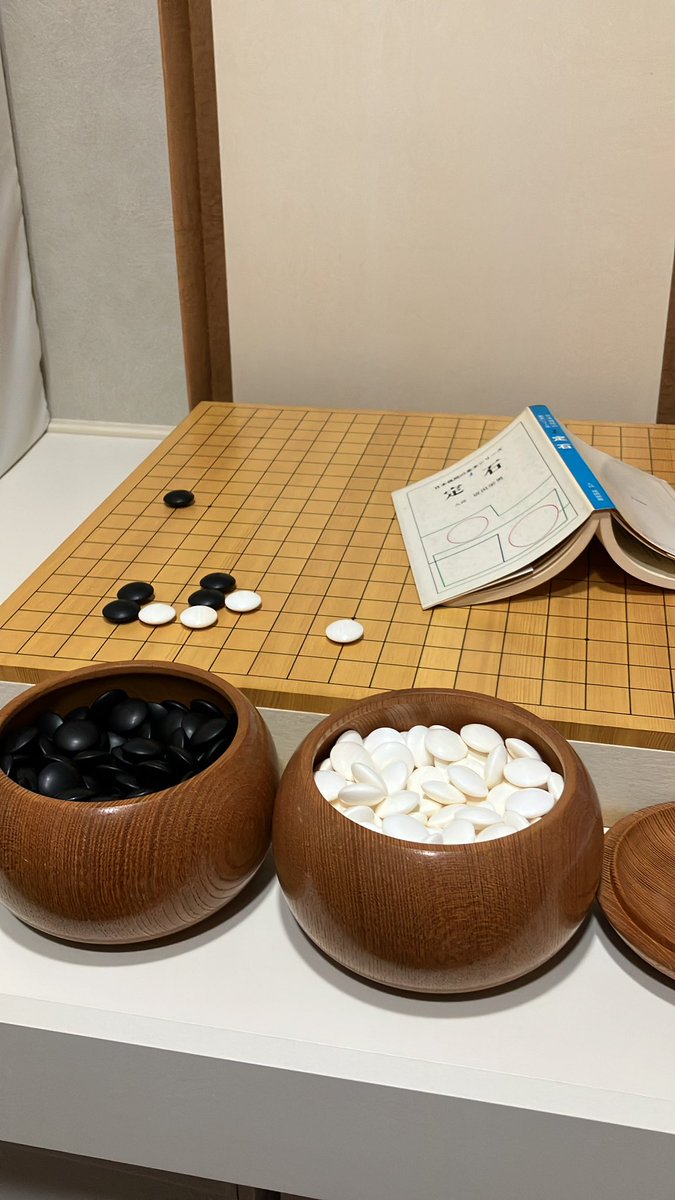 サラセナ🦏 tweet media