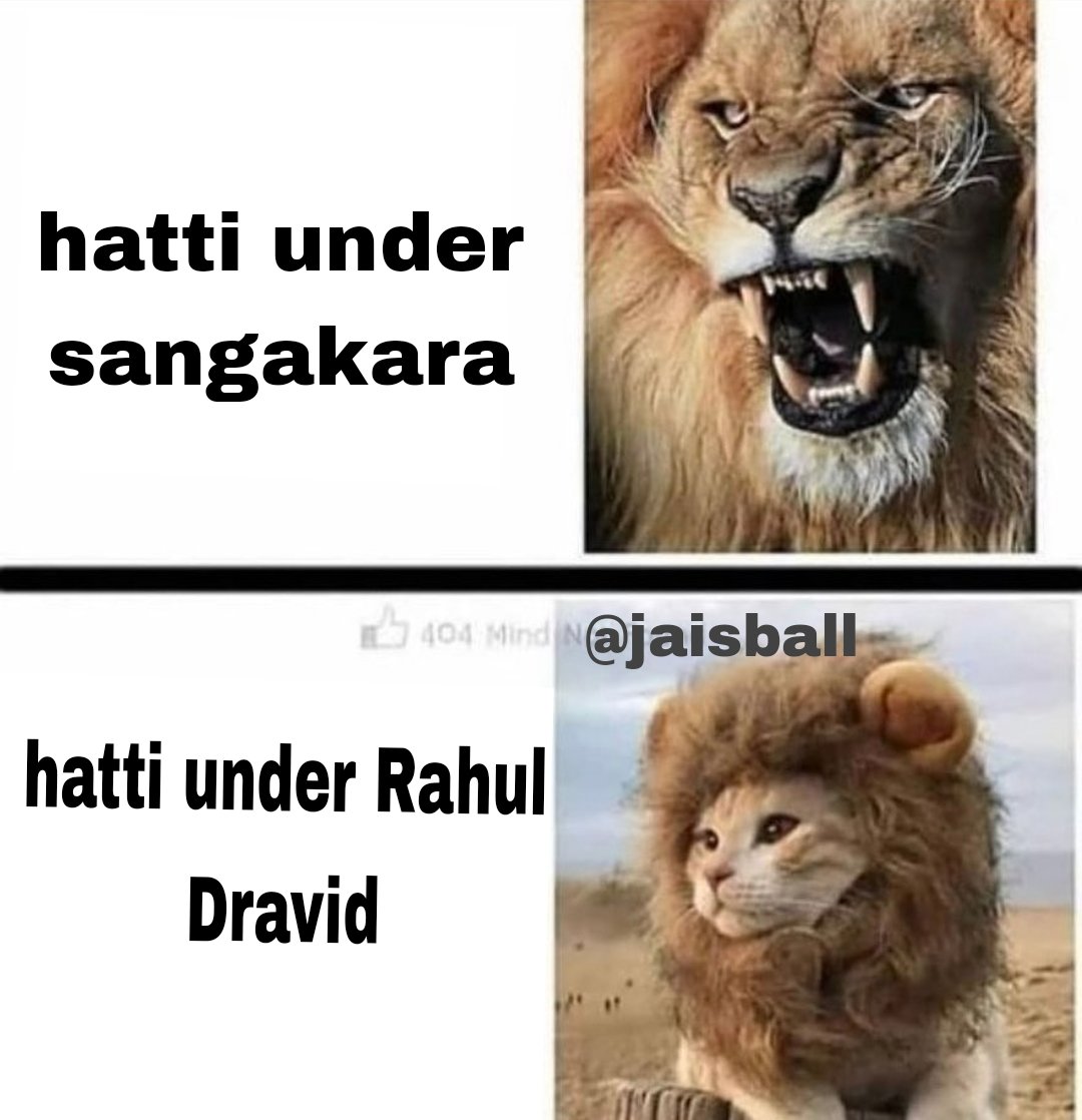 YashasviBhav💖 tweet media