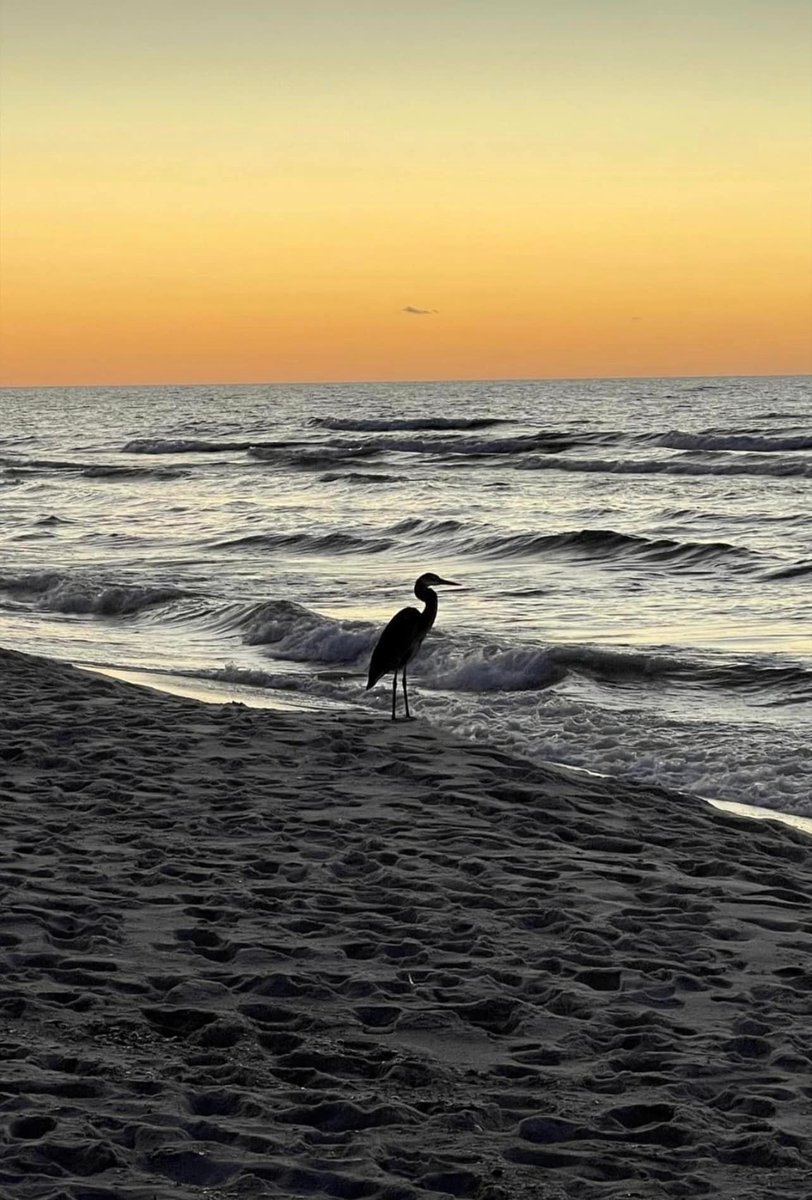 "Fear is excitement without the breath." Here's what this intriguing statement means: the very same mechanisms that produce excitement also produce fear, and any fear can be transformed into excitement by breathing fully with it.