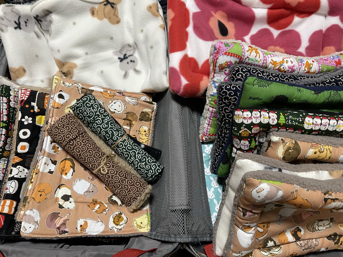 Oxql5c0's tweet image. 大きいキャリー出してきて、荷造り😁
ぐるぐる結んで入れていきます🐹🐀
クリスマスツリー仕上げ🎄
まだまだ作ります♪
#ローデンツ東京