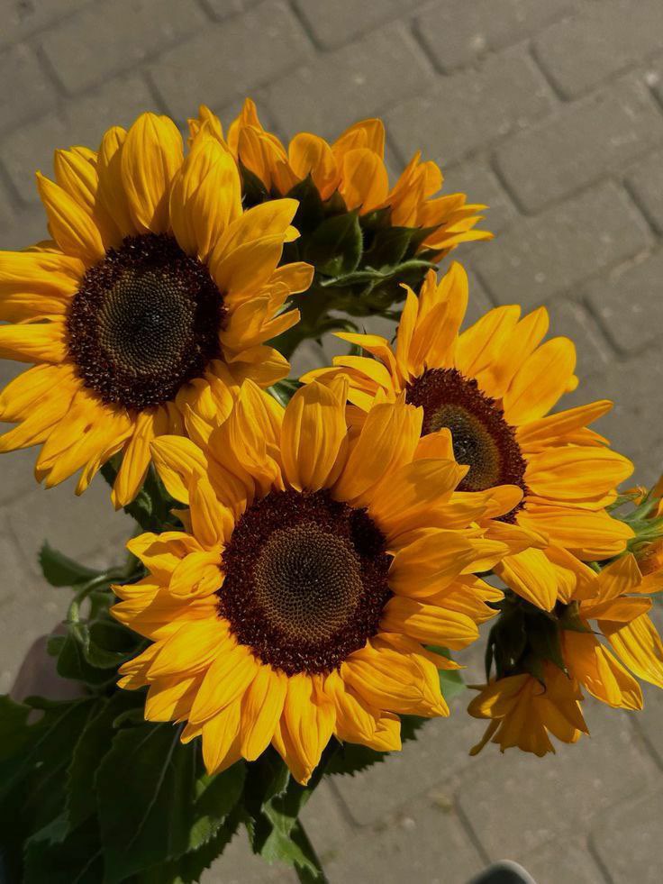 ensable's tweet image. Special delivery bunga matahari yang masih segar buat yang sedang berbahagia hari ini, @inkstainedlove! Selamat merajut kisah kasih di usia yang baru yaa, Lanita. Bahagia dan sejahtera selalu. #LanitaSunHeart