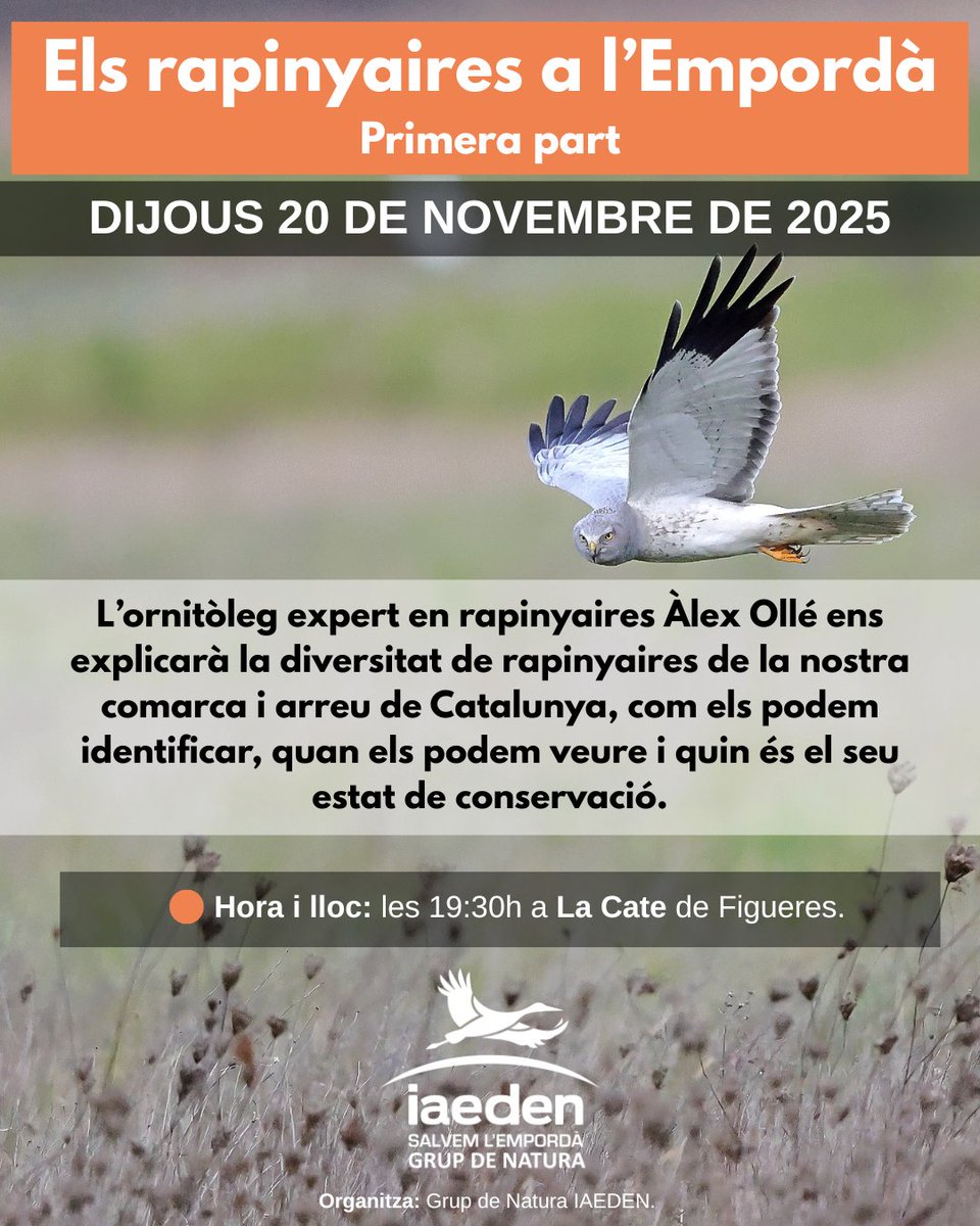 🦅Vols conèixer i entendre millor el paper essencial dels rapinyaires? 
👉L’ornitòleg expert en rapinyaires Àlex Ollé ens explicarà la diversitat de rapinyaires de la nostra comarca i arreu de Catalunya 
📆Aquest dijous a La Cate de #Figueres