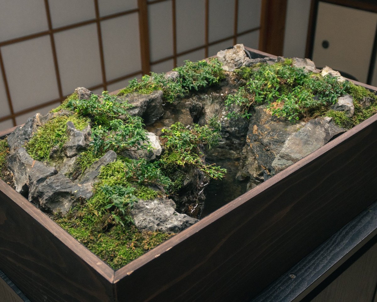 Asu (@Asu_green_jp) / Posts / X