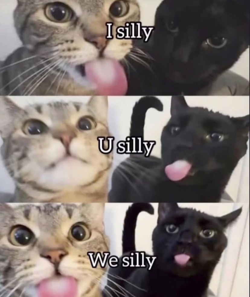 WeAssessCats's tweet photo. https://t.co/5ETGOsYvjz