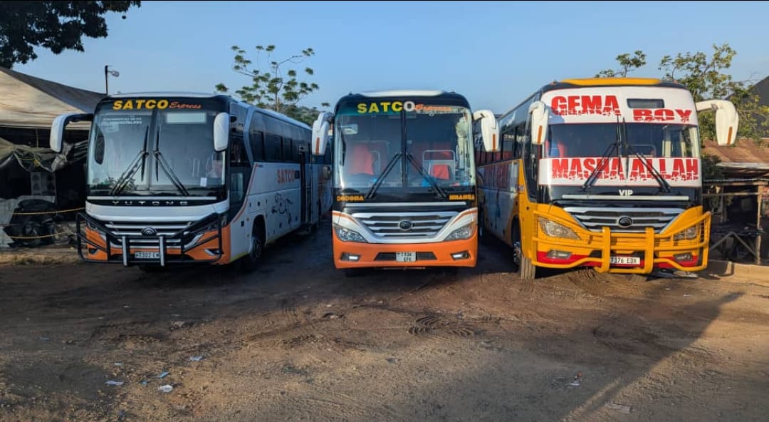 Tanzania Bound Buses tweet media