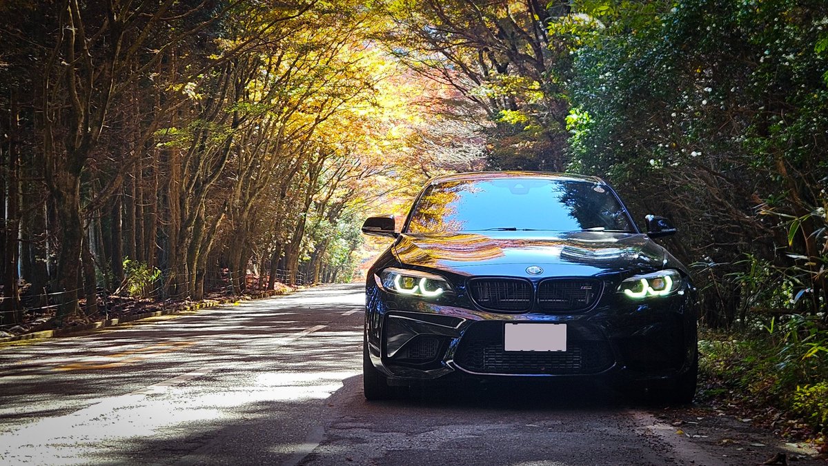 nappp26's tweet photo. 紅葉狩り🍁 https://t.co/VG6L7qTvCl