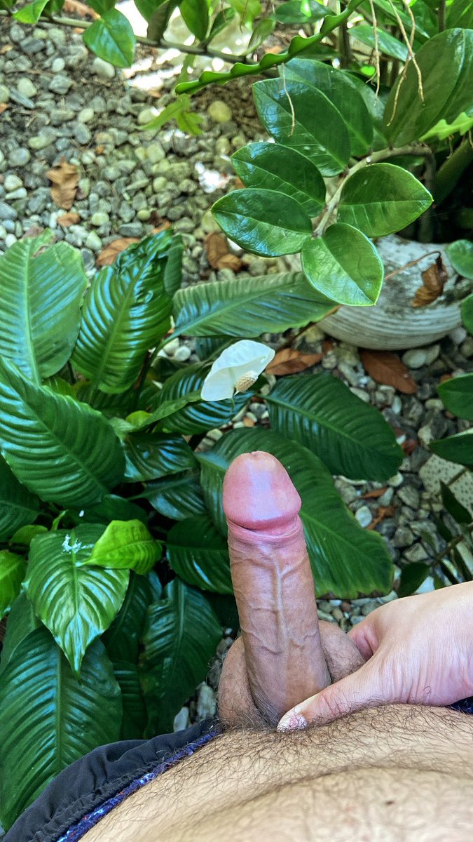 🌱