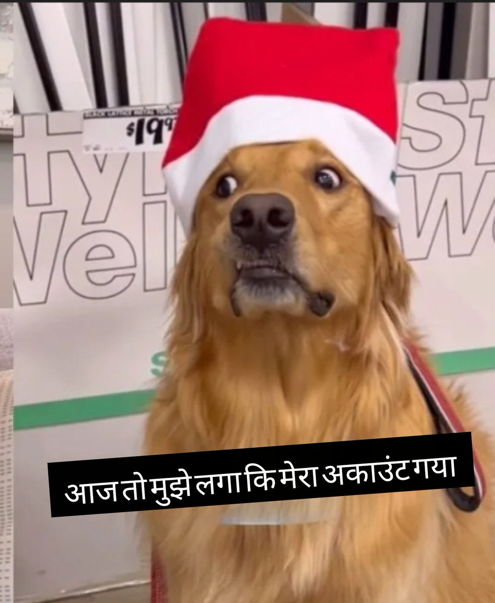 vasha3911's tweet image. #TwitterDown