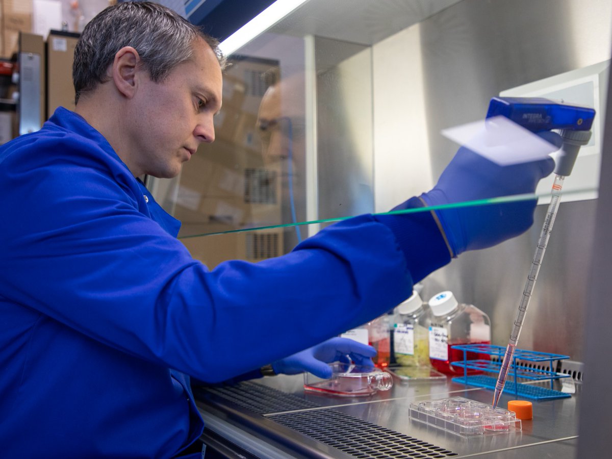 unisouthampton's tweet image. Could weight loss drugs like Ozempic help to boost the effectiveness of breast cancer treatments in women with obesity?

Our researchers have been funded by Against Breast Cancer to investigate.

Read more 👉 tr.pulse.ly/4cvkwtxqh4