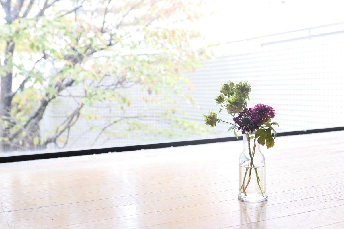 水野木内みどり (@kiuchi_midori) / Posts / X