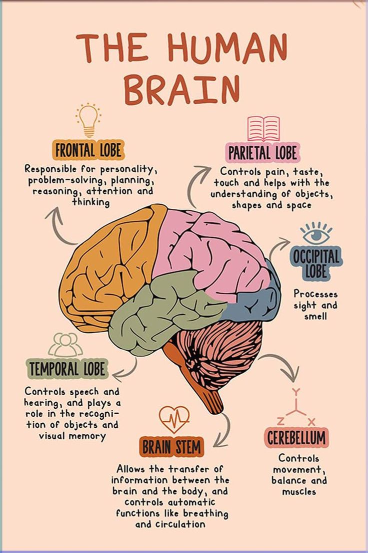 Healthstrategi's tweet image. Neuro-Thrive is a specialized health and wellness program dedicated to optimizing brain function and cognitive well-being. By combining advance
Click Here Learn More: neurothraive.com
.
.
.
#CognitiveFunction #BrainPower #MentalWellness #BrainTraining #Neuroplasticity