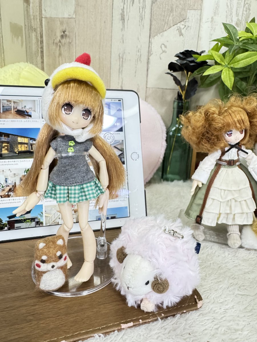 antique bear ୨୧ * 小さくて可愛い テリアさん antique bear ୨୧