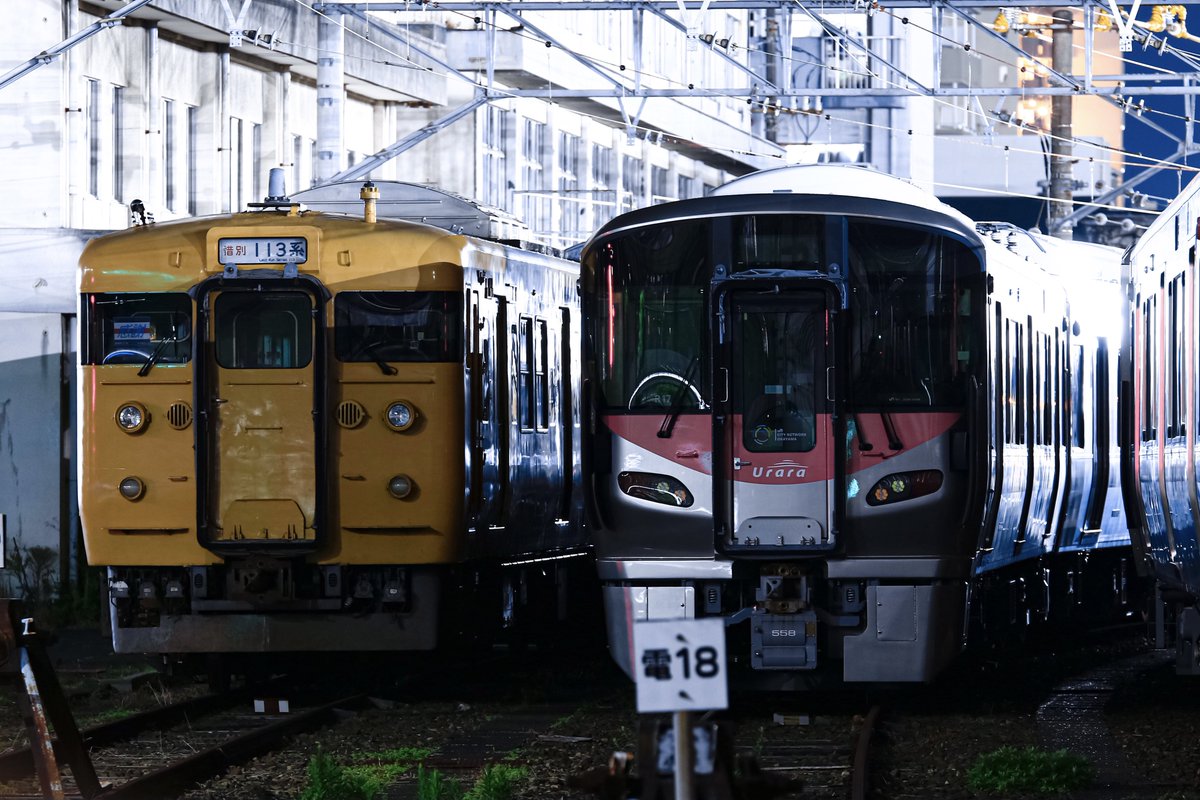 新条 (@shinjoh) / Posts / X