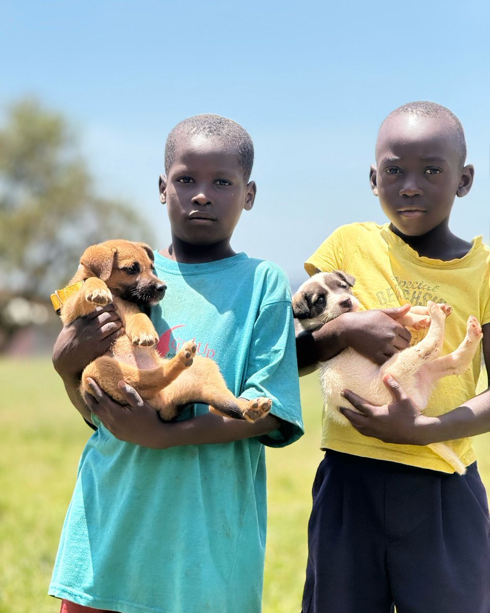 Uniquely Paws tweet media