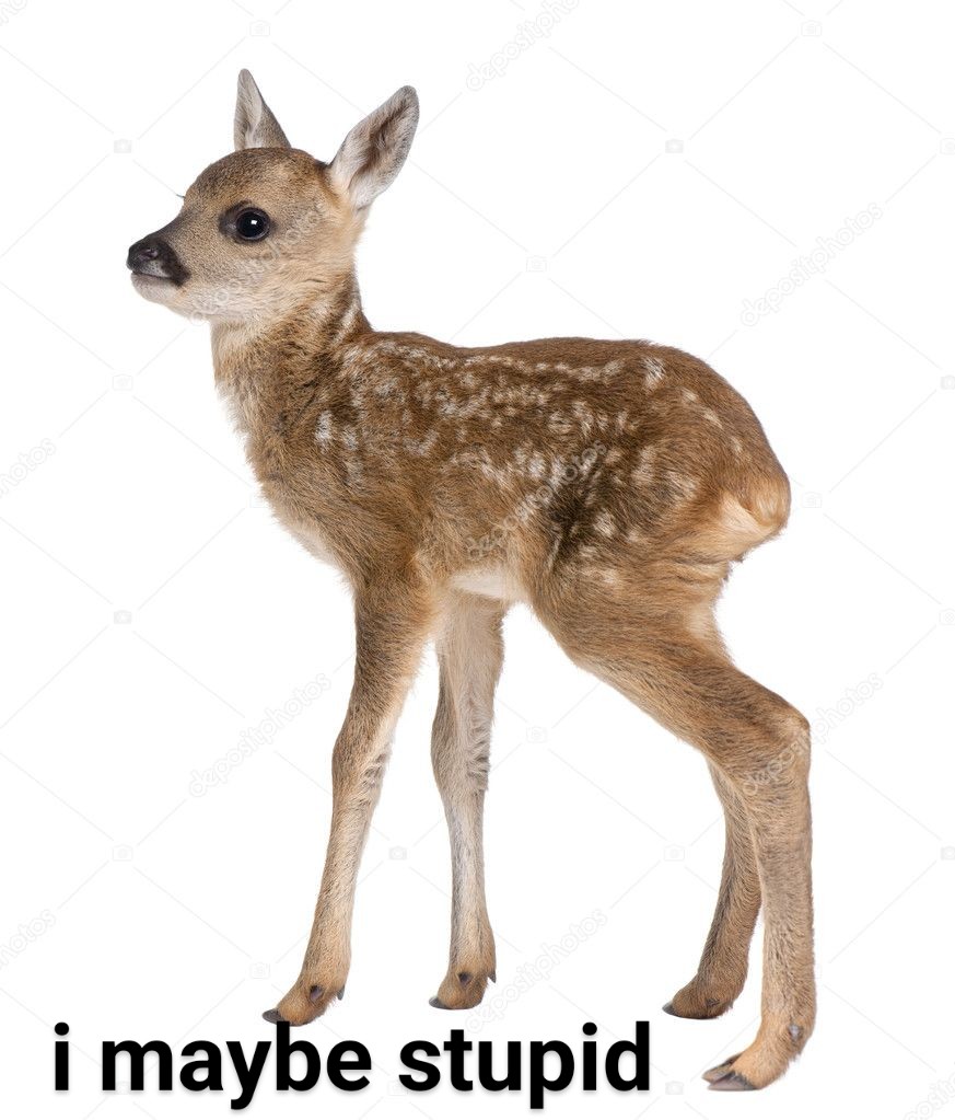 deershouldnt's tweet image. huh. whuh huh.