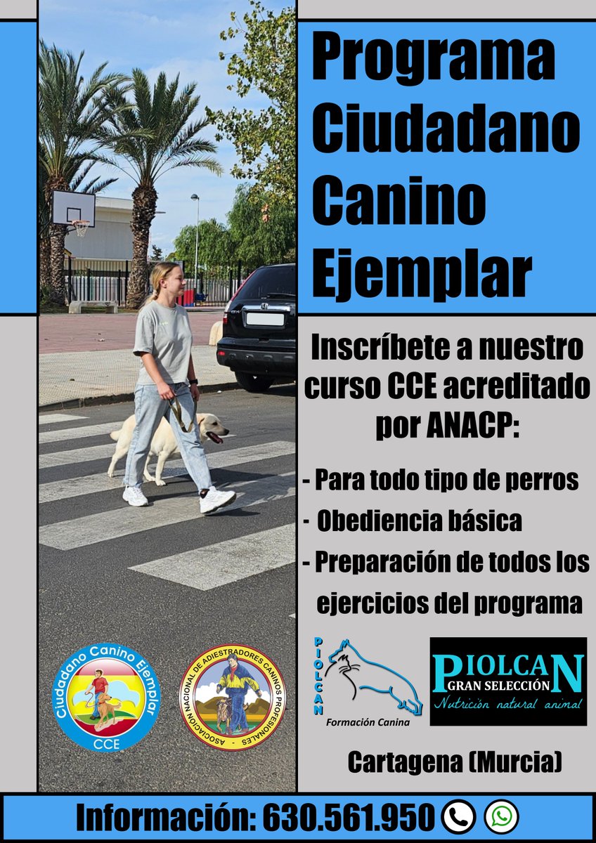 Piolcan's tweet photo. Curso de Ciudadano Canino Ejemplar CCE

Más información en la web oficial de Piolcan en: Seminarios y Cursos de formación Canina

#piolcan #adiestramientocanino #educacioncanina #obedienciacanina #cursocanino #perros #canino https://t.co/ylvYk9AeXy