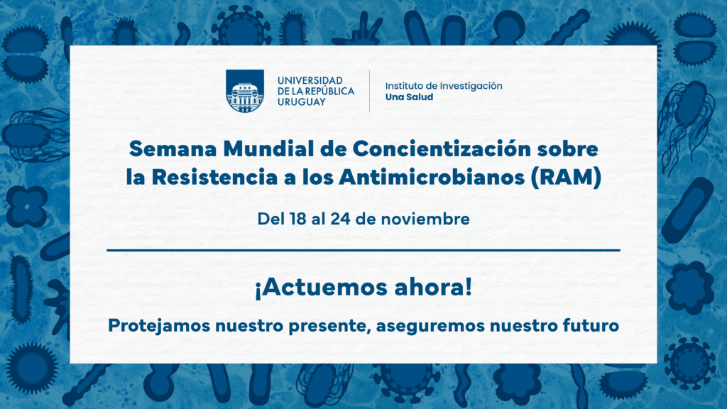 Universidad de la República tweet media