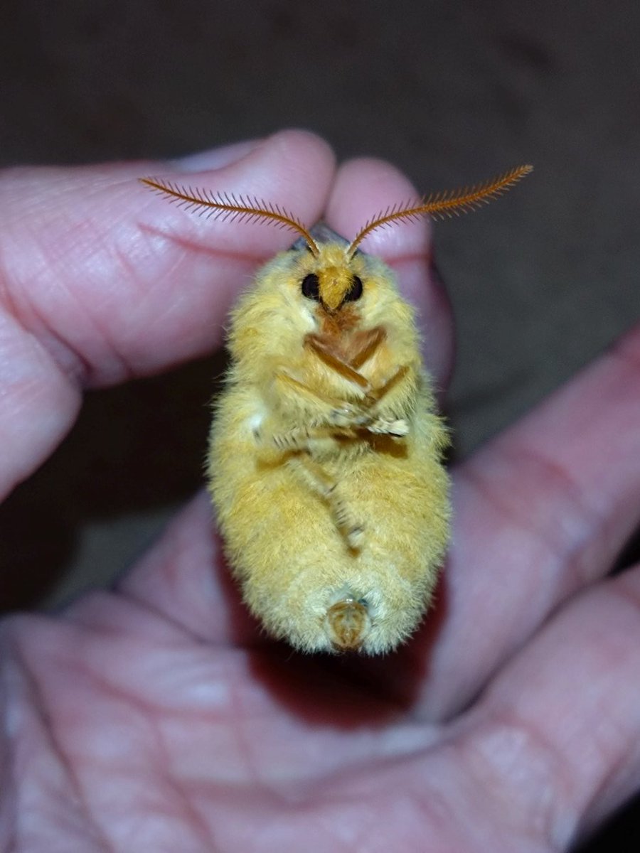 じゅんじゅん (@JJJUUNNN) / Posts / X