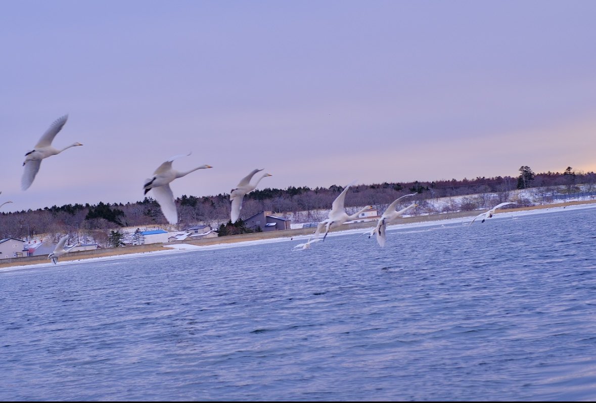 あと6日🕊️🕊️🕊️🕊️🕊️🕊️

ル・ケレス南円山ミュージアムホール
ライブにはお飲み物はつきません！
なのでお越しの皆様は
各々好きだなぁていうものをご用意してお楽しみくださいね♪

chimala.net/news-category/…