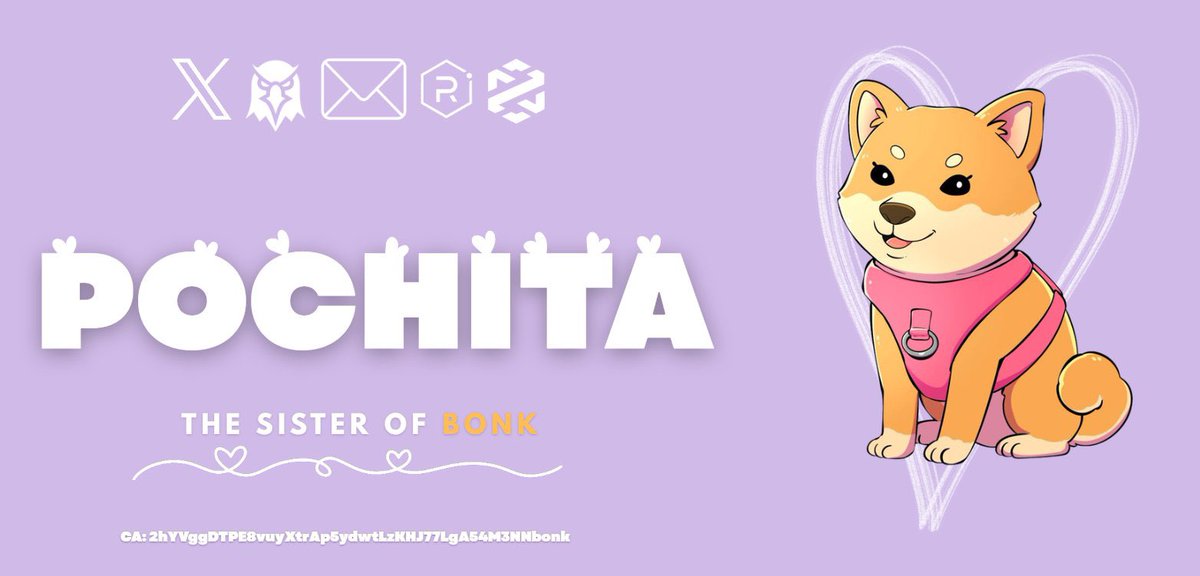 PochitaUSD1's tweet photo. The $POCHITA V2 website has been updated with our amazing art from our full time artist! 🤍

Website V3 is in progress and will be released soon!

https://t.co/PbyLTCz0IB https://t.co/oxmLVYkTay