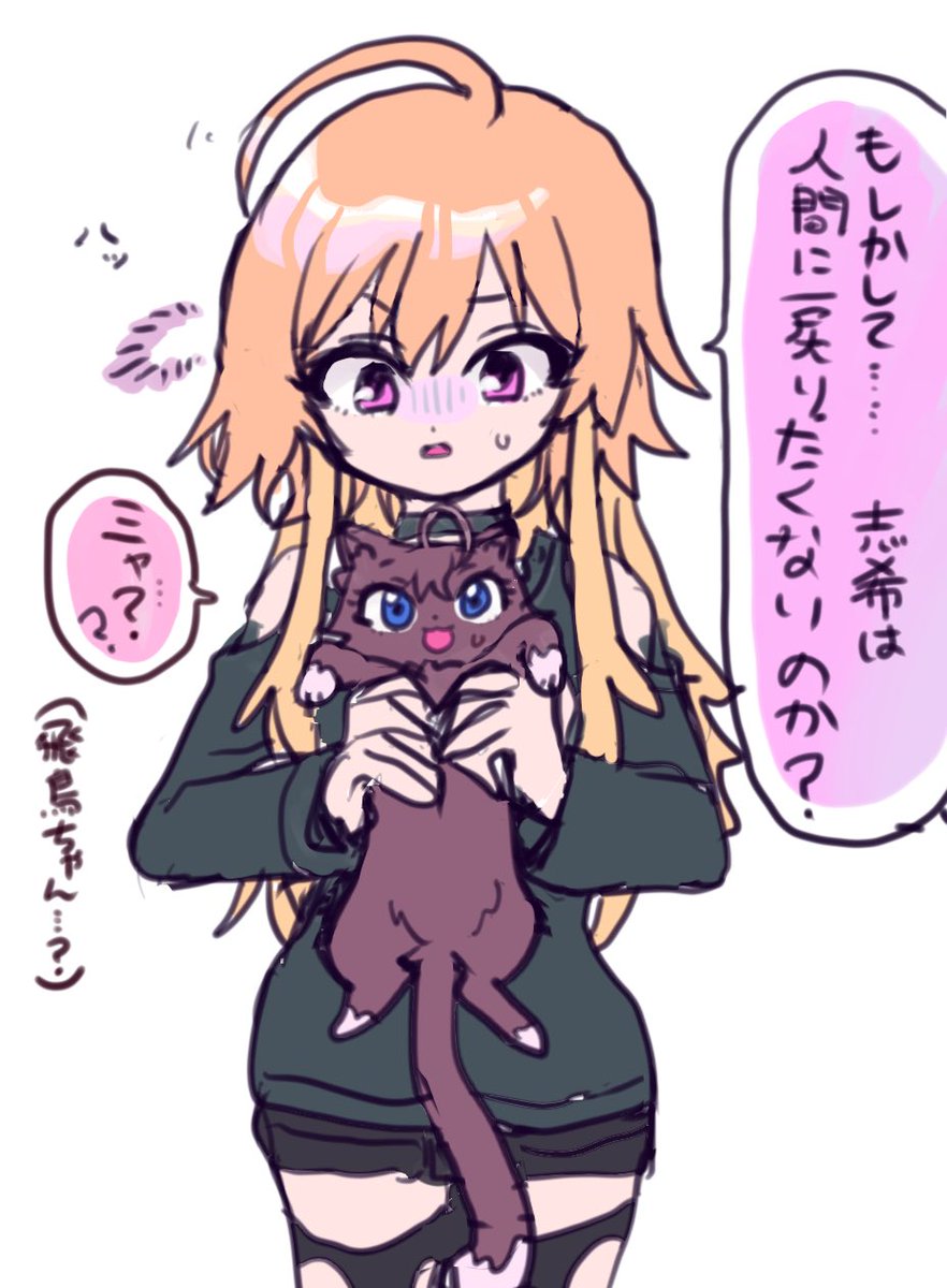 ymzakana_'s tweet photo. しきにゃんが少女で飛鳥ちゃんがやれやれユニット相棒ヅラしてるskasが好きなのがばれる！！！！！！！！
！！！！！！！！！！！！！！！！！ https://t.co/WWtj2sgilV