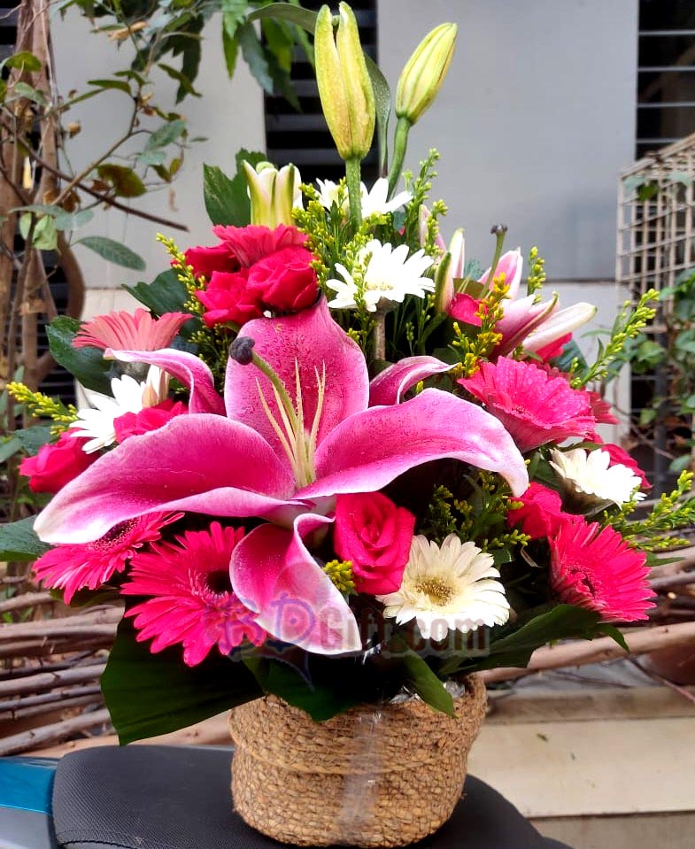 BDGift1's tweet image. 💐 Send a stunning mix flower basket with pink lilies, white &amp;amp; pink gerberas, and red roses to your loved one in Bangladesh! 🇧🇩❤️
🌐 Order now: bdgift.com/products/12986…
#MixFlowerBasket #bdgift #FlowerDeliveryBD #SendLove #FreshFlowers #BangladeshGifts