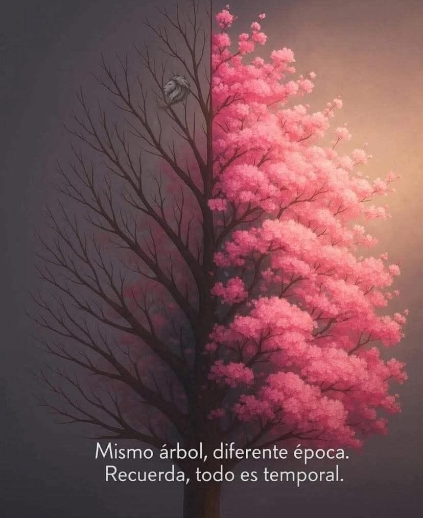 Disciplina (@eligedisciplina) on Twitter photo 