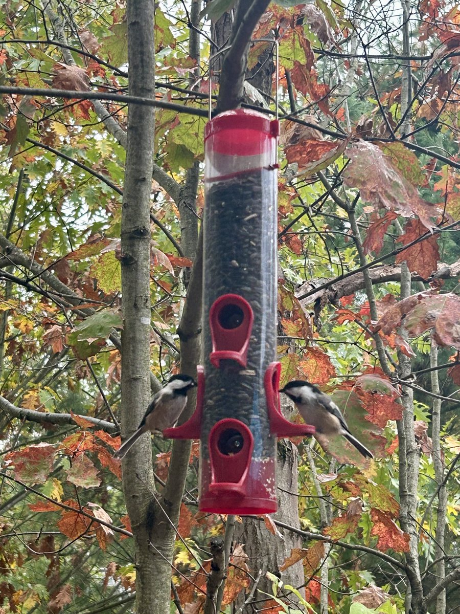 Good morning, happy Tuesday 😊 #Twosday