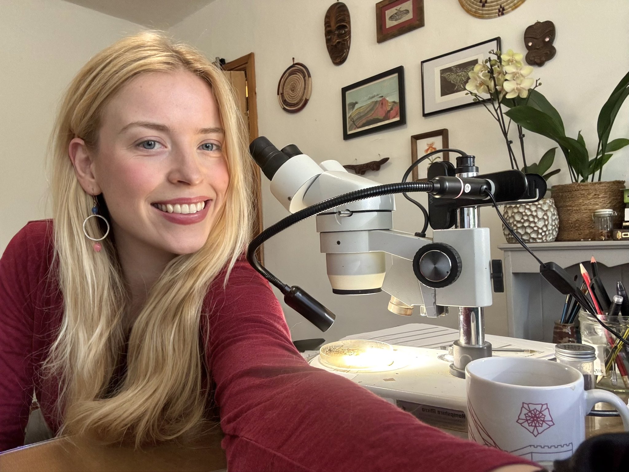 G6CbesWWYAA496-?format=jpg&name=large