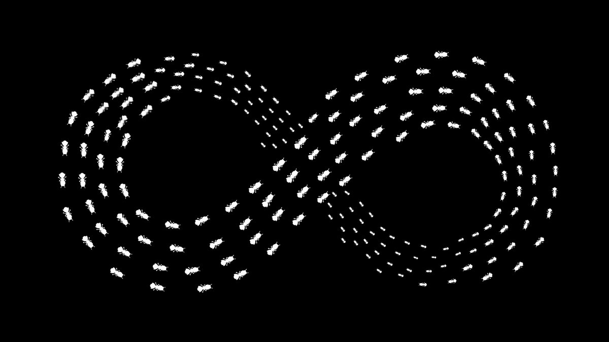 Kindred_AI's tweet image. For years, Web3 has been driven by risk and uncertainty.

Cycles move fast, narratives die faster, and no one knows what truly holds value.

But the one force that has always reduced that uncertainty is the same one that built this industry:

Connection.
Unity.
Community.

When…