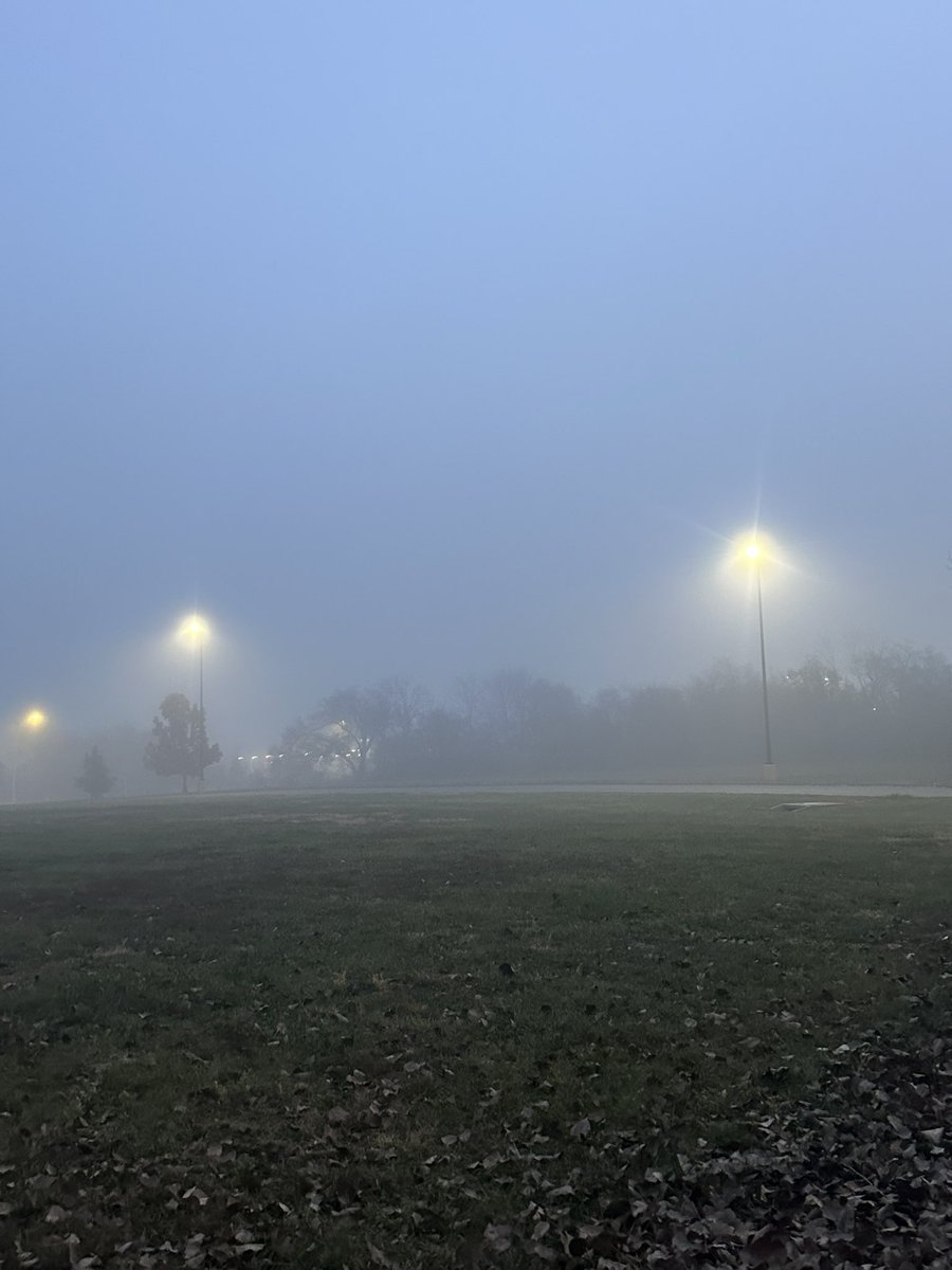 swifties118's tweet image. This fog is giving me Evermore vibes