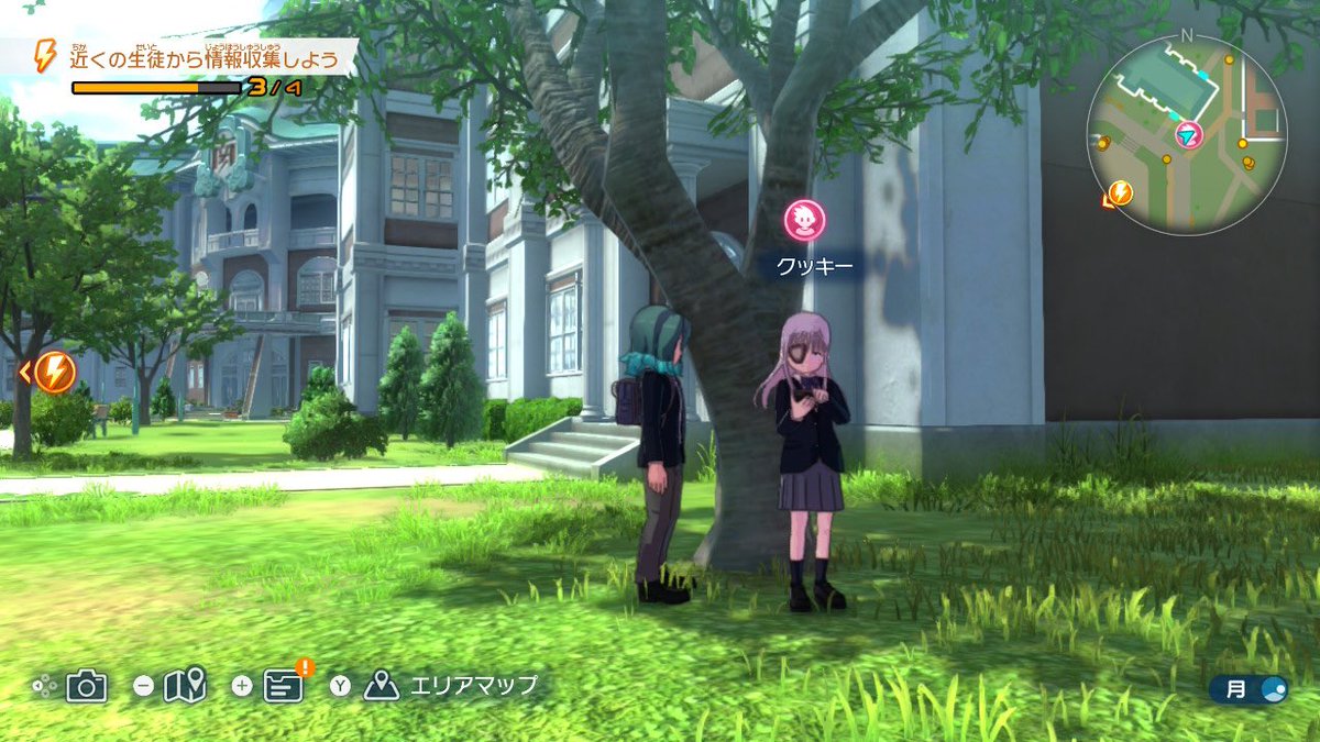 クッキー (@leon_kame) / Posts / X