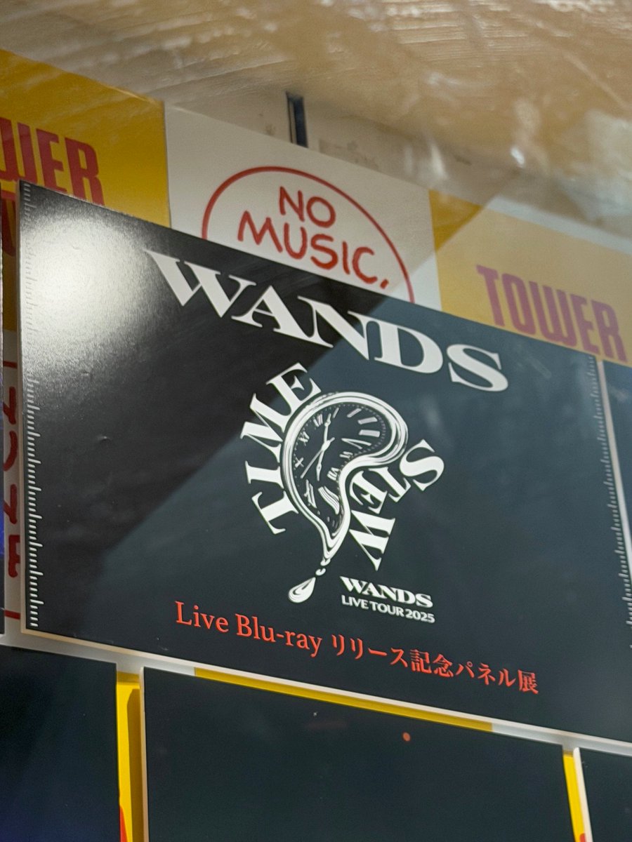 WANDS】 ／ 圧倒的なクオリティーで会場を熱狂の渦に巻き込んだ最新