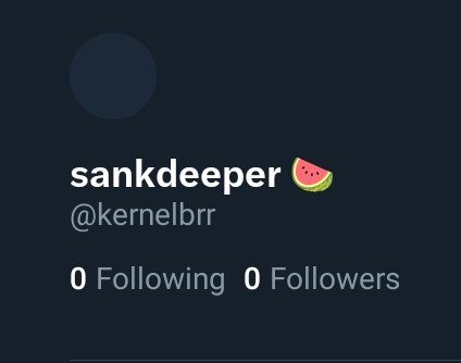 kernelbrr's tweet image. What&apos;s this did I get shadowbanned or what