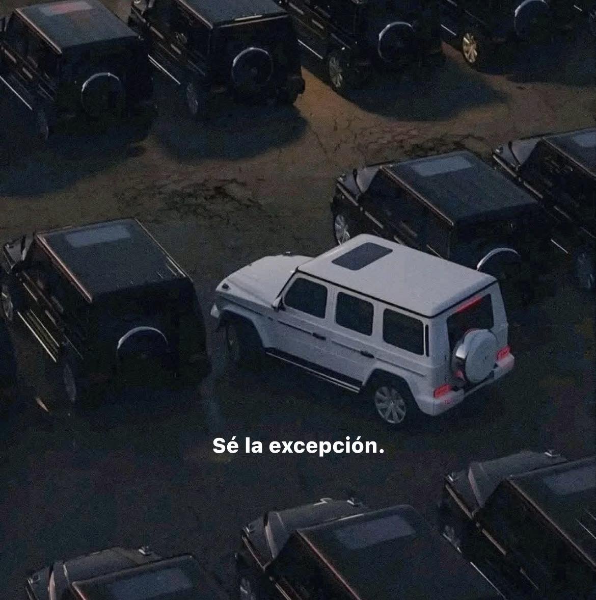 BANDIDOS (@bandidosfrasess) on Twitter photo 