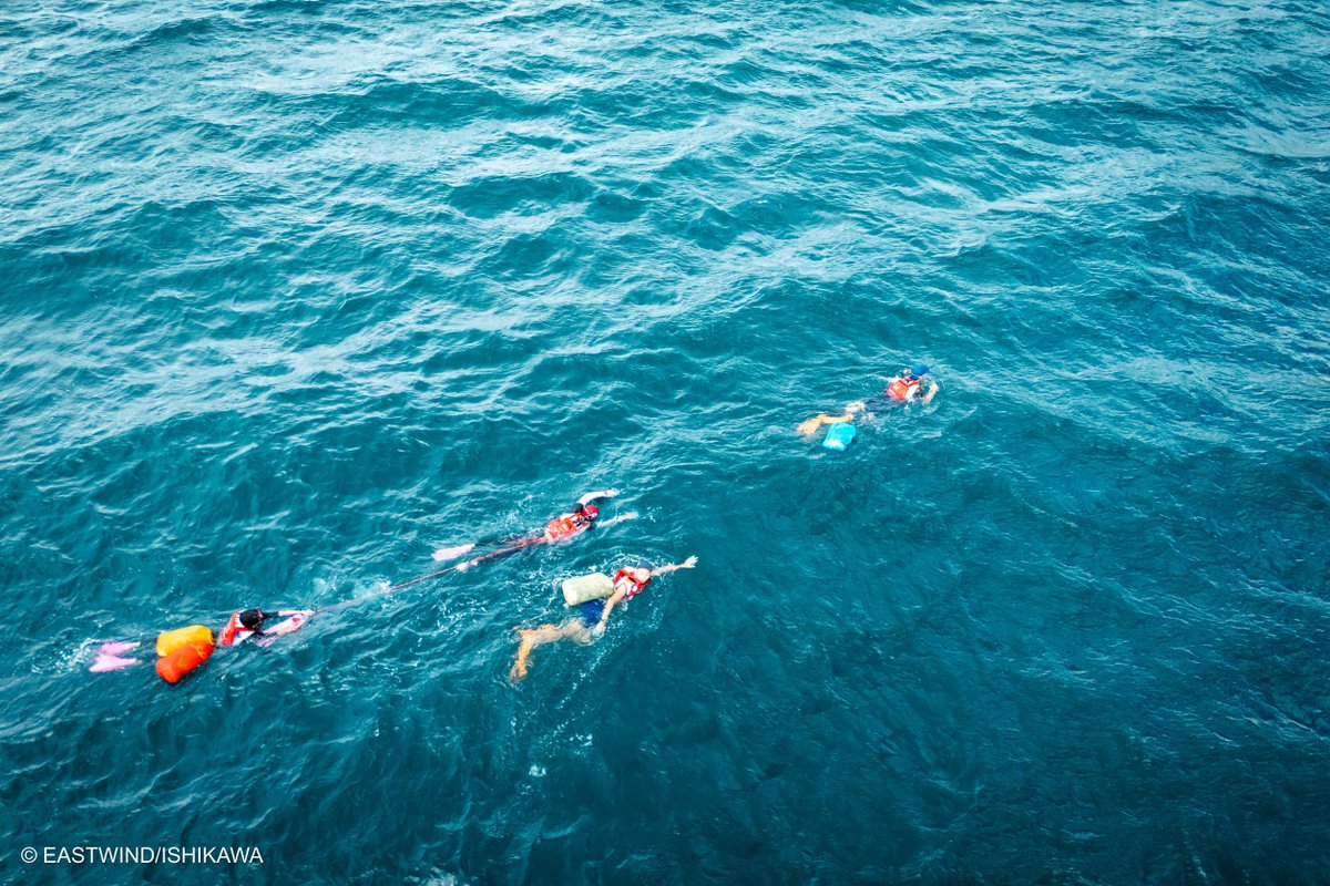 eastwind_mgr's tweet photo. 【La Routa】
スイムとバンカ(ローカルの人が使う小船)セクション
写真:石川貴大
#larouta #adventurerace #eastwind #ARWS https://t.co/0M6nLVD74u