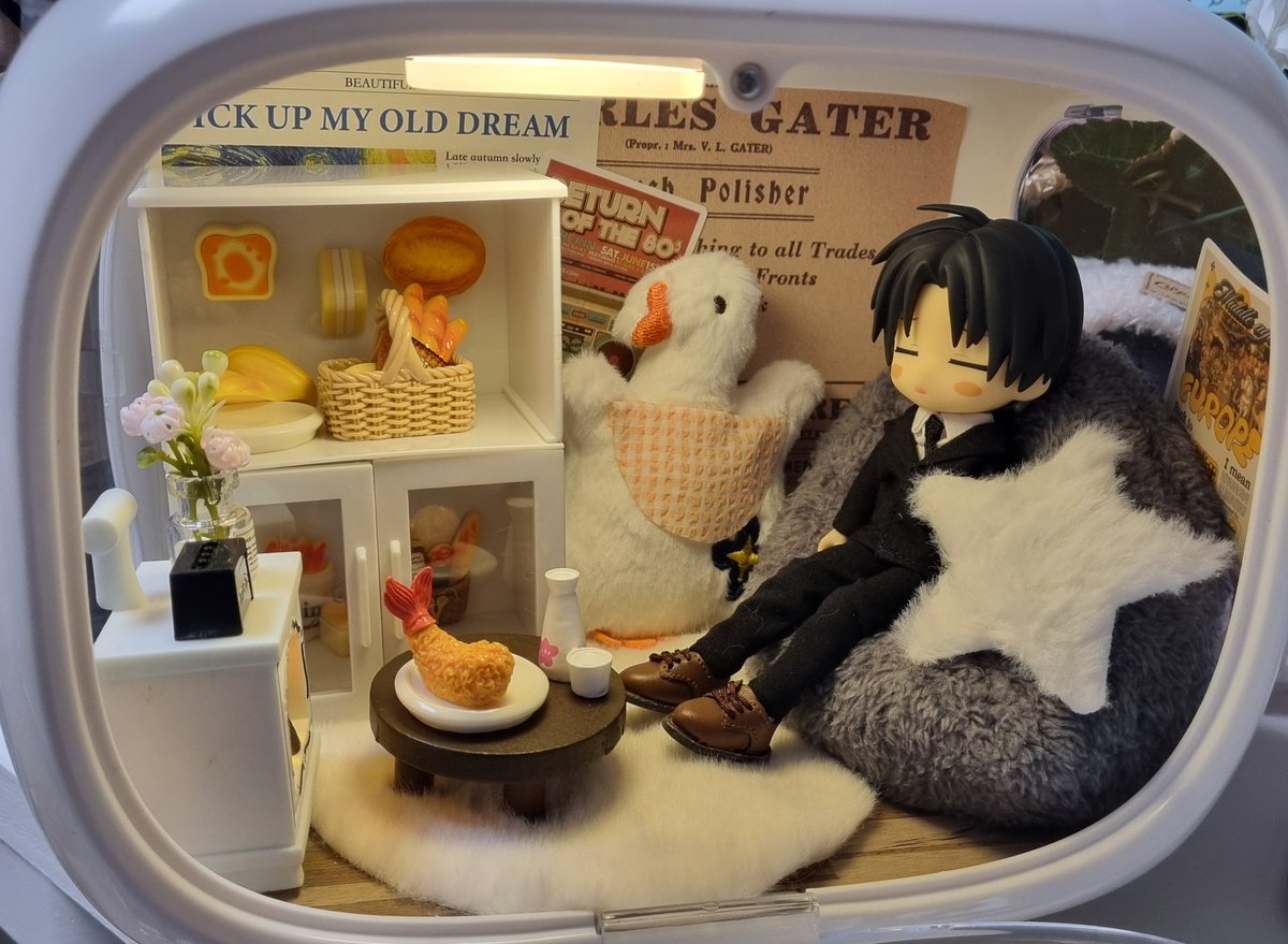 타오바오에서 룸박스 삿는데 이게 2만 5처넌 ...? 이게 대륙 ...???