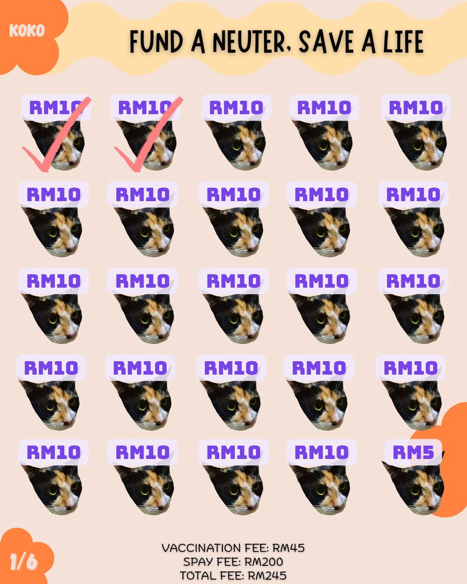 RM10 from 23 people will get Koko vaccinated and neutered 🙏🏻