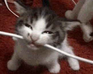 Ketymporta70's tweet image. #Error500 ERROR 500