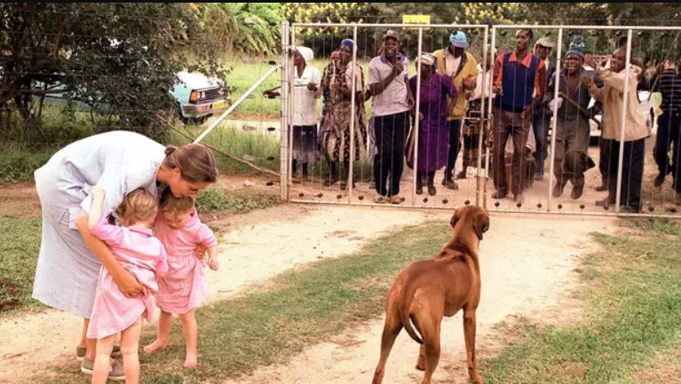 Will_Tanner_1's tweet image. The Rhodesians turned what had been a virgin land stuck in the Stone Age into a modern country with roads and railroads, modern cities, hospitals, factories, mines, and--most famously--hugely successful farms and ranches that made it the Breadbasket of Africa

Zimbabwe destroyed…