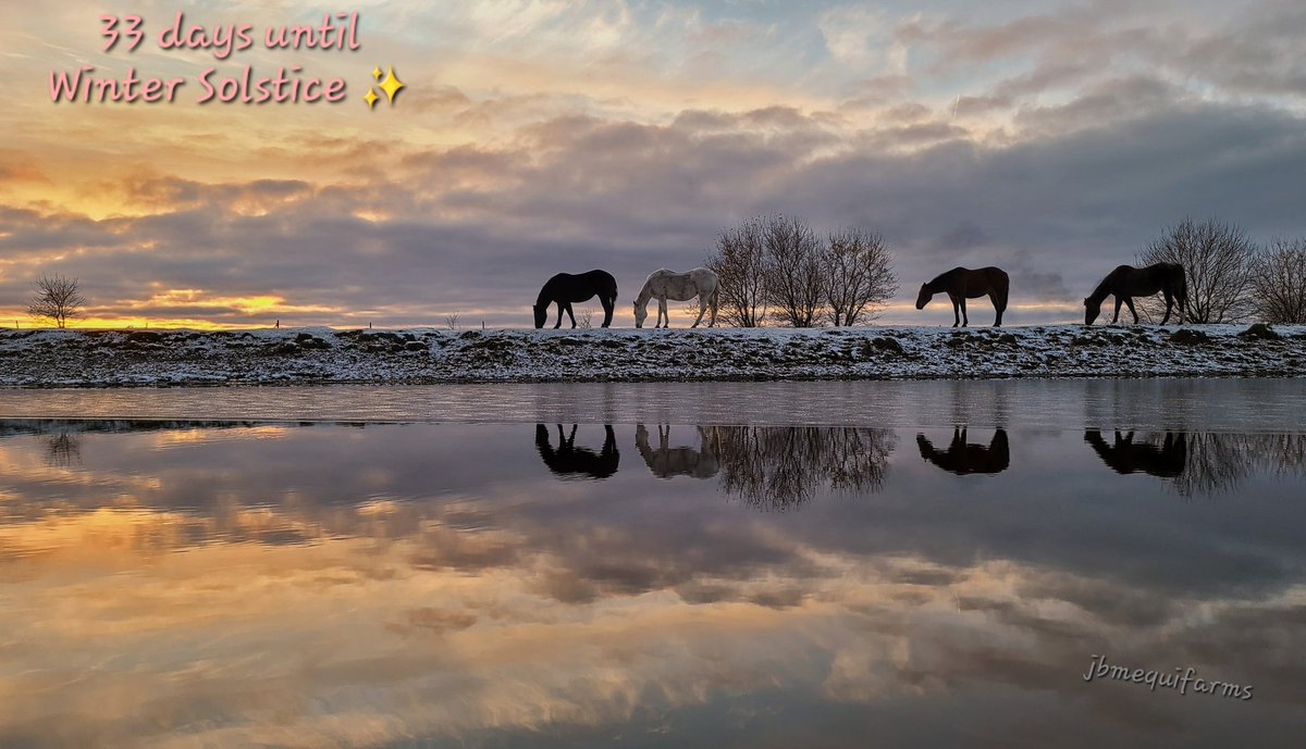 Only 33 more days to wait until days begin to get longer.