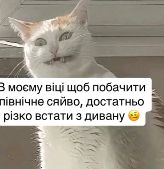 chess_master_LT's tweet photo. 😜 https://t.co/DKyjb7hf9H